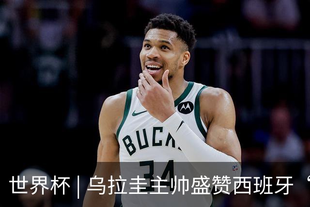 世界杯 | 乌拉圭主帅盛赞西班牙“精致足球”