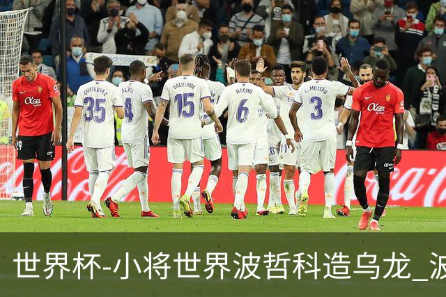 世界杯-小将世界波哲科造乌龙 波黑半场暂2-1卡塔尔