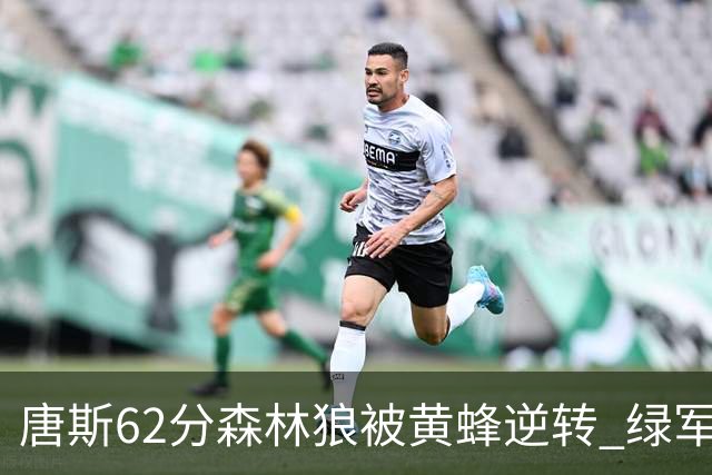 唐斯62分森林狼被黄蜂逆转 绿军力克独行侠