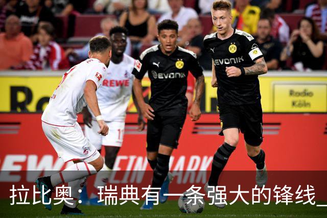 拉比奥：瑞典有一条强大的锋线 萨利巴的情况并不乐观