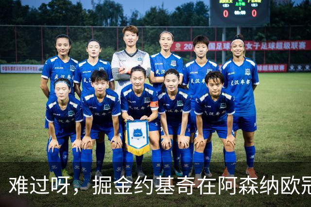 难过呀，掘金约基奇在阿森纳欧冠决赛后，加油助威的喜悦化为乌有