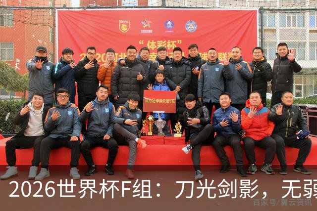 2026世界杯F组：刀光剑影，无弱旅的生死较量